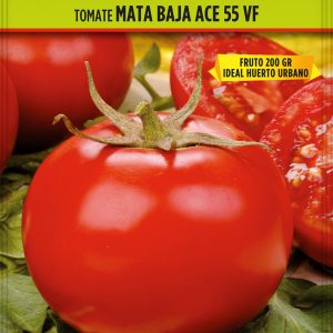 Tomate Ace 55 VF
