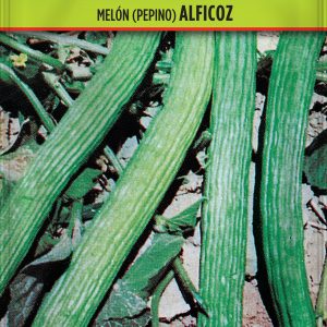 Pepino Alficoz