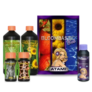 ATA Bloombastic Box Atami