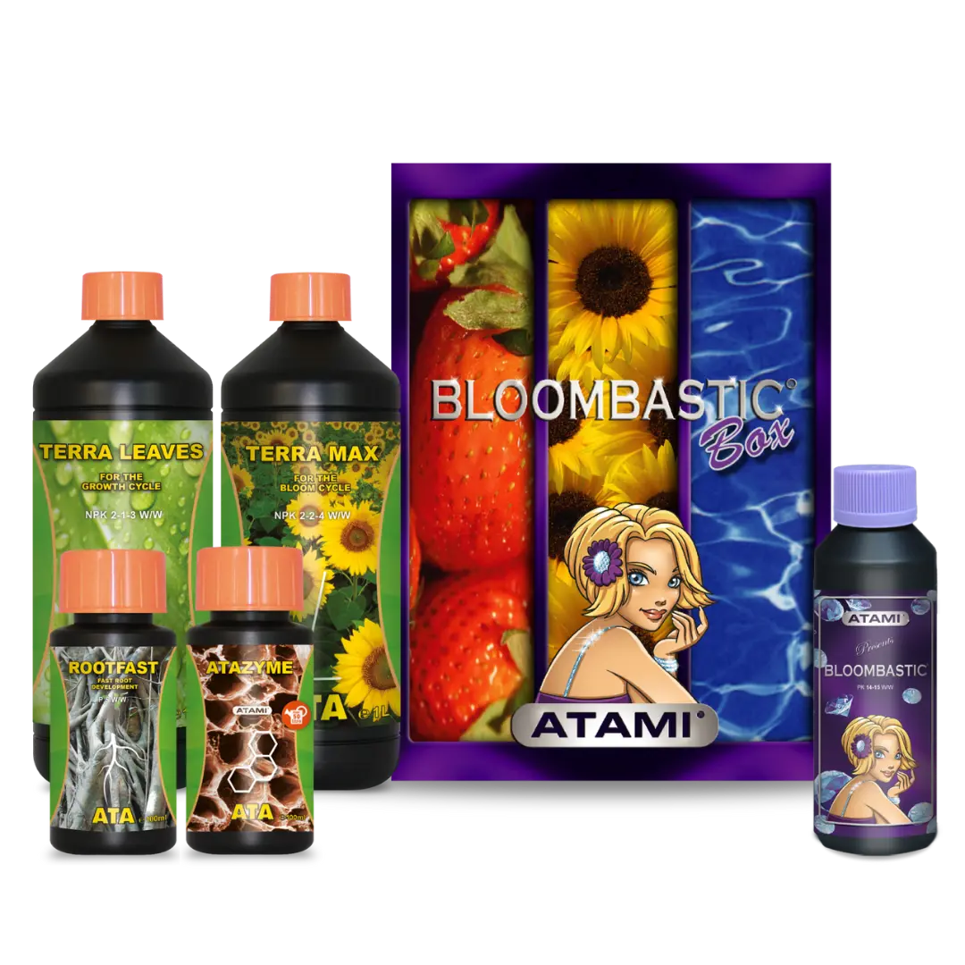ATA Bloombastic Box Atami