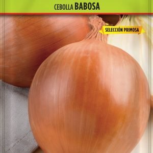 Cebolla Babosa