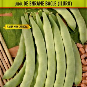 Judía de Enrame Bacle (Iluro)