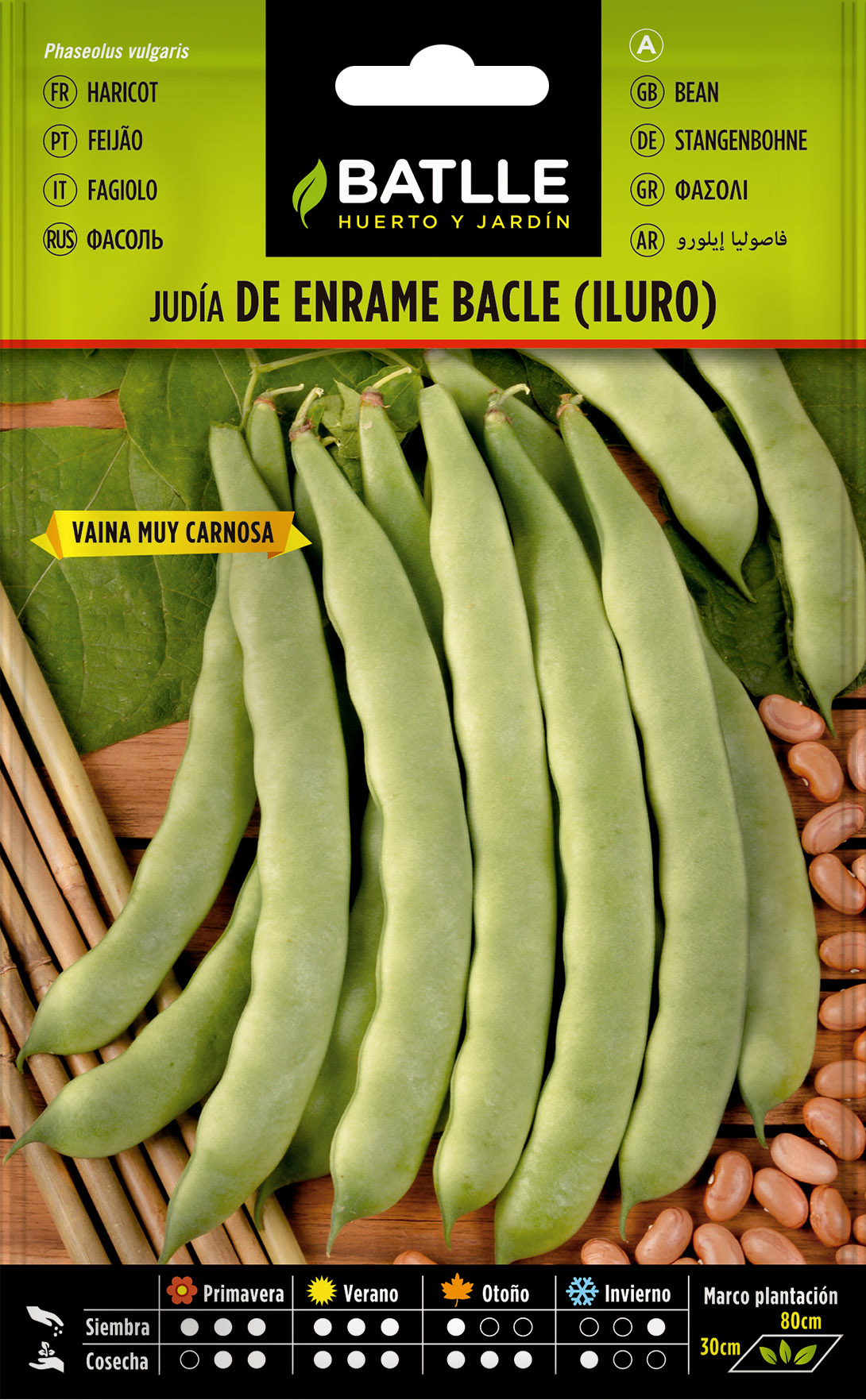 Judía de Enrame Bacle (Iluro)