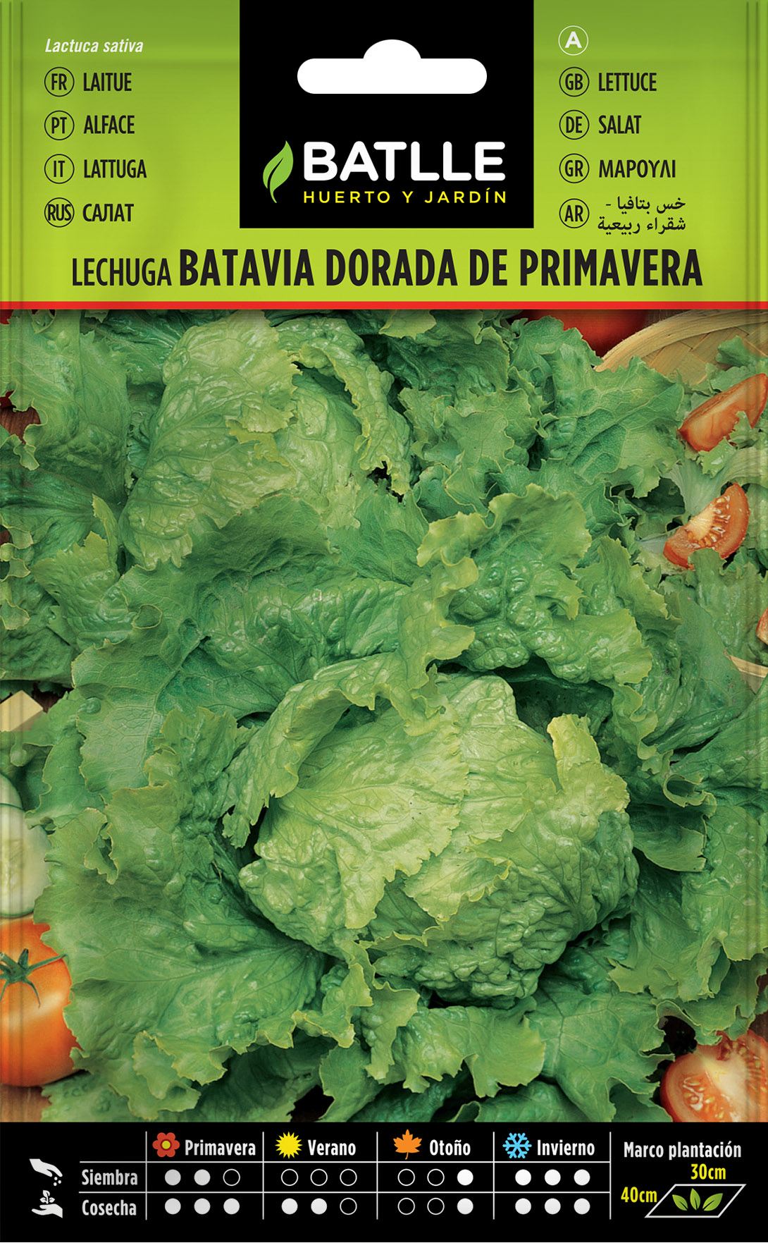 Lechuga Batavia Dorada de Primavera