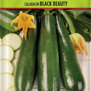 Calabacín Black Beauty