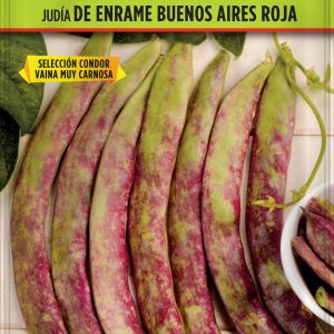 Judía de Enrame Buenos Aires Roja