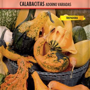 Calabacitas Adorno Variadas