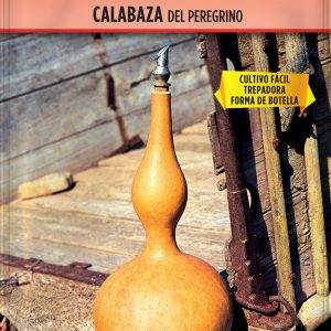 Calabaza Del Peregrino