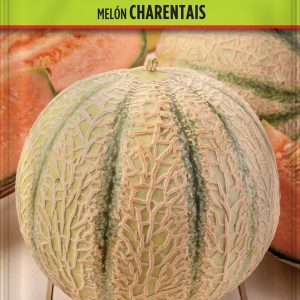 Melón Charentais