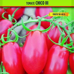 Tomate Chico III