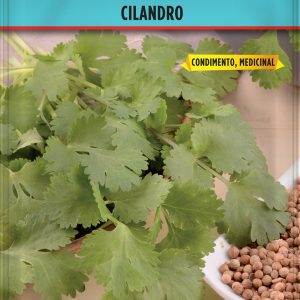 Cilandro