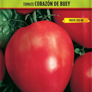 Tomate Corazón de Buey