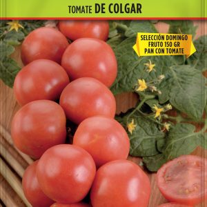 Tomate de colgar
