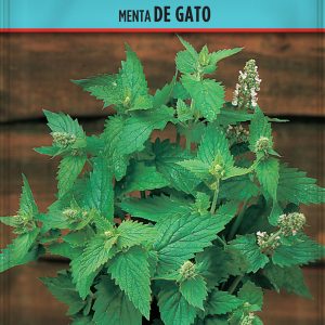Menta de Gato