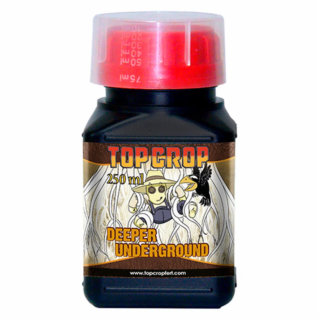 Deeper Underground Top Crop