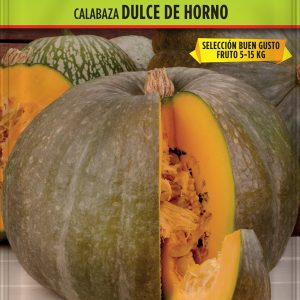 Calabaza Dulce de Horno