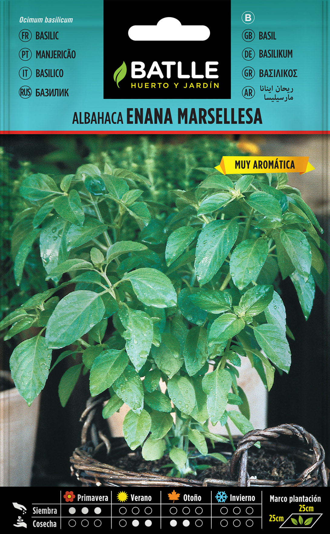 Albahaca Enana Marsellesa