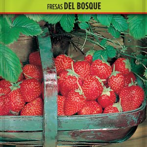 Fresas del Bosque