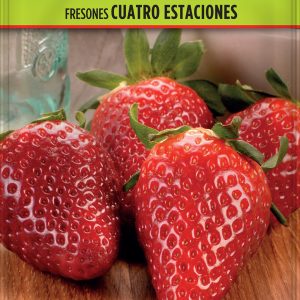 Fresones 4 Estaciones