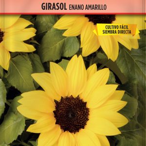 Girasol Enano Amarillo