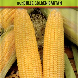 Maíz Golden Bantam