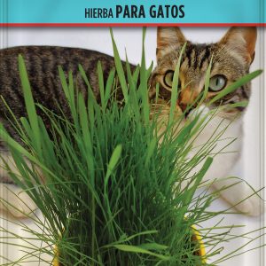 Hierba para Gatos
