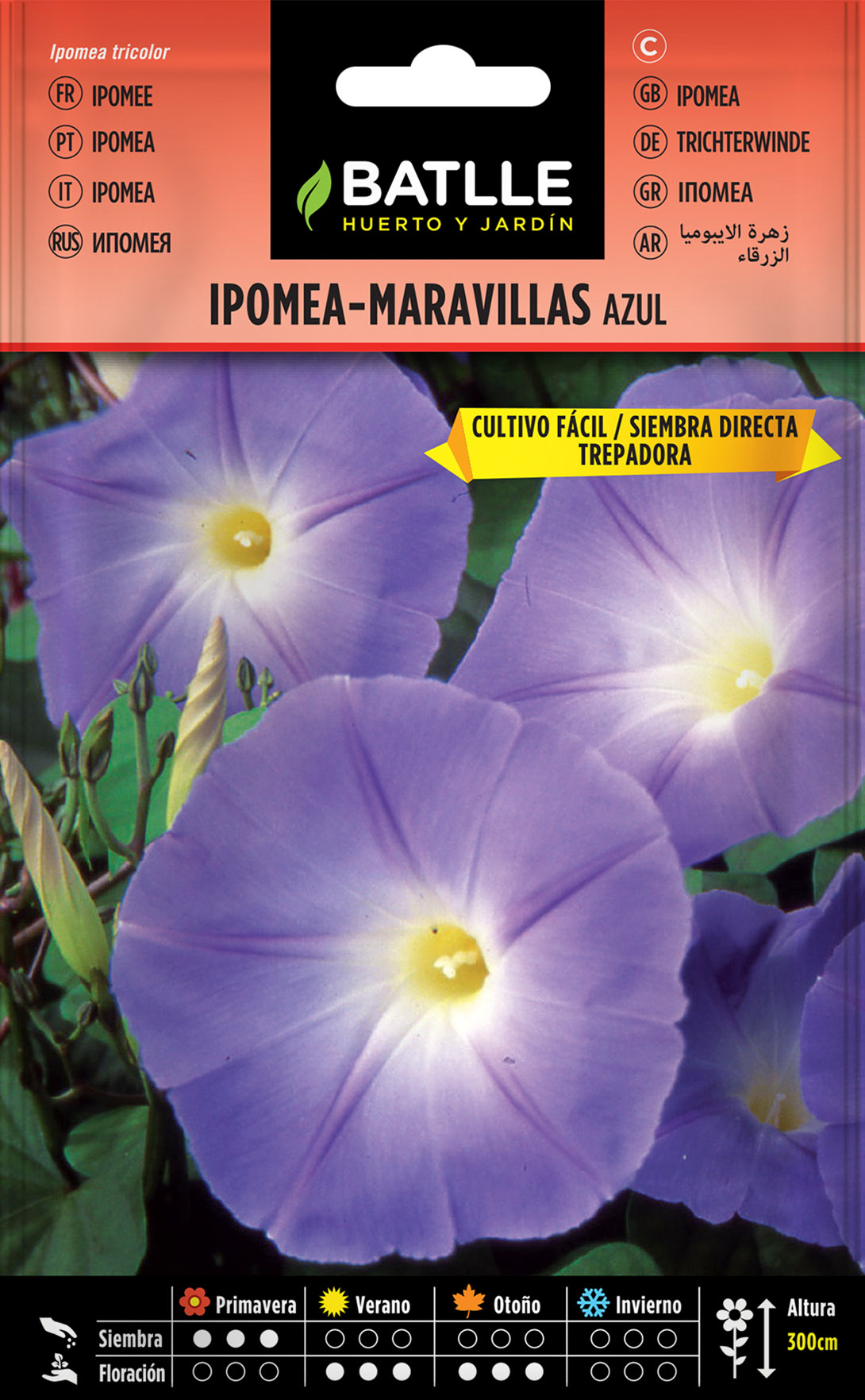 Ipomea-Maravillas Azul