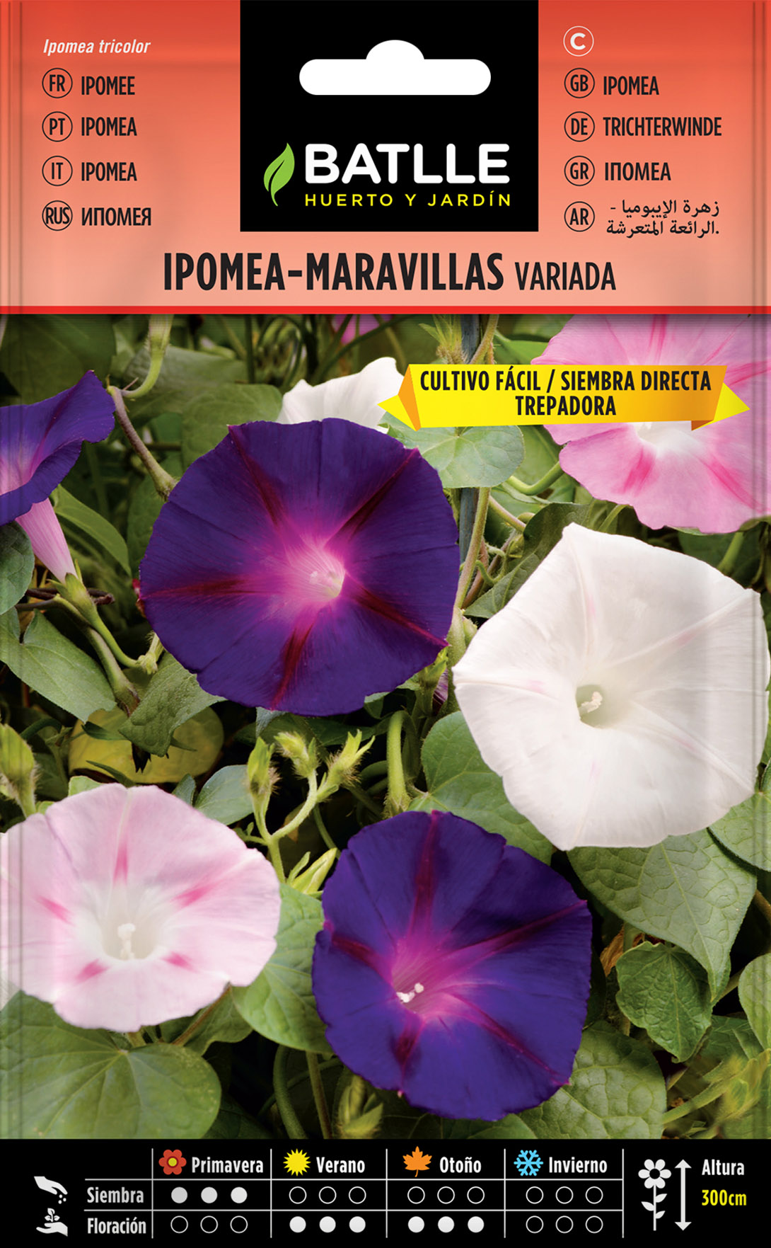 Ipomea- Maravillas Trepadora