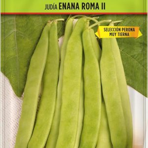 Judía Enana Roma II