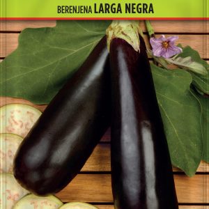 Berenjena Larga Negra