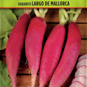 Rabanito Largo de Mallorca