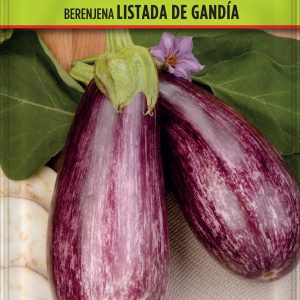 Berenjena Listada de Gandía