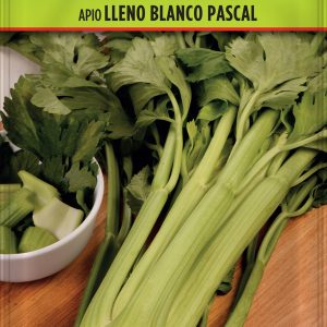 Apio Lleno Blanco Pascal
