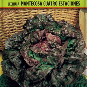 Lechuga Mantecosa Cuatro Estaciones