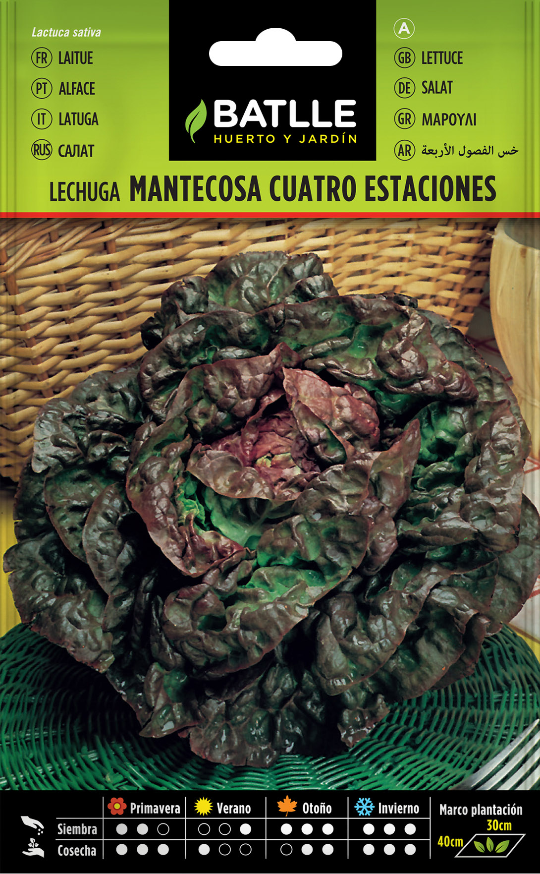 Lechuga Mantecosa Cuatro Estaciones