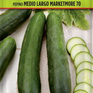 Pepino Medio Largo Marketmore 70