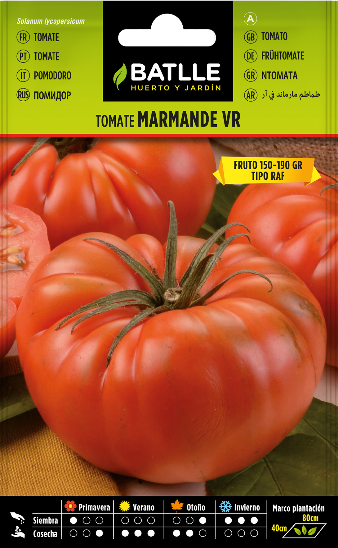 Tomate Marmande VR tipo Holanda