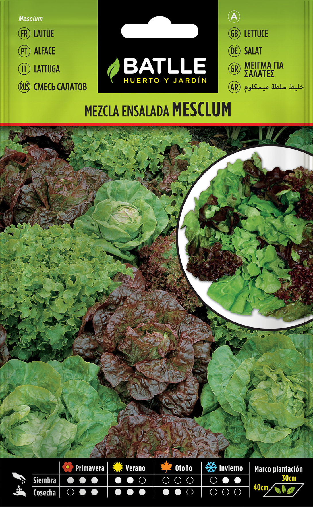 Lechuga Mezcla Ensalada Mesclum