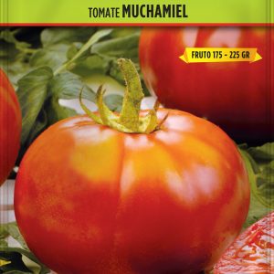 Tomate Muchamiel