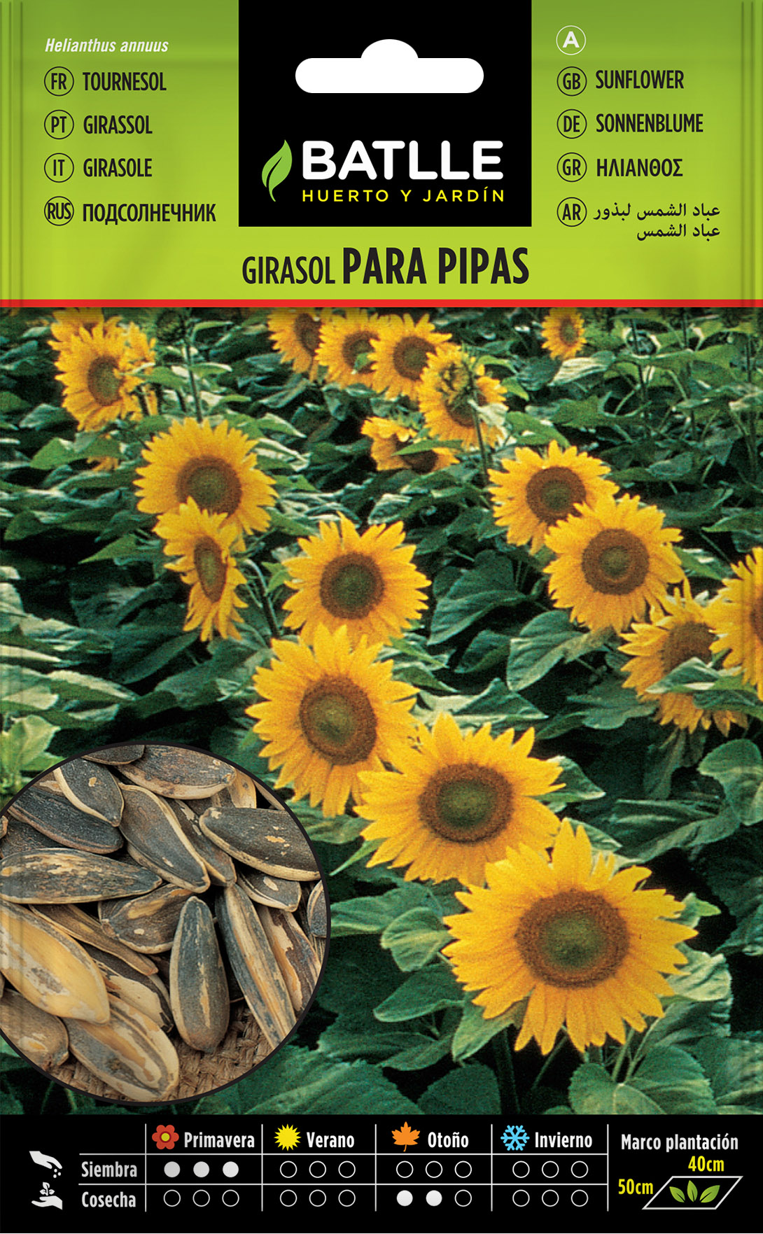 Girasol para Pipas