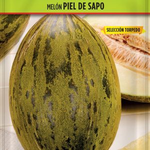 Melón Piel de Sapo
