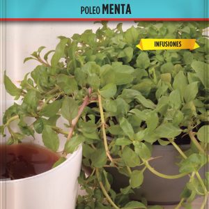 Poleo Menta