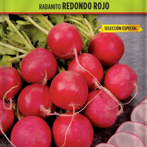 Rabanito Redondo Rojo