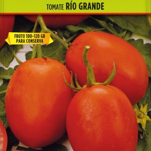 Tomate Rio Grande
