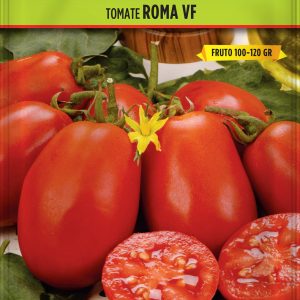 Tomate Roma VF