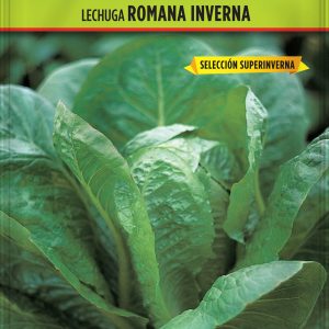 Lechuga Romana Inverna