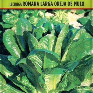 Lechuga Romana Larga Oreja de Mulo