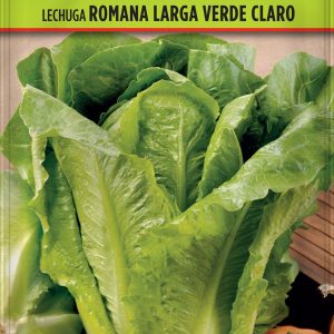 Lechuga Romana Larga Verde Claro