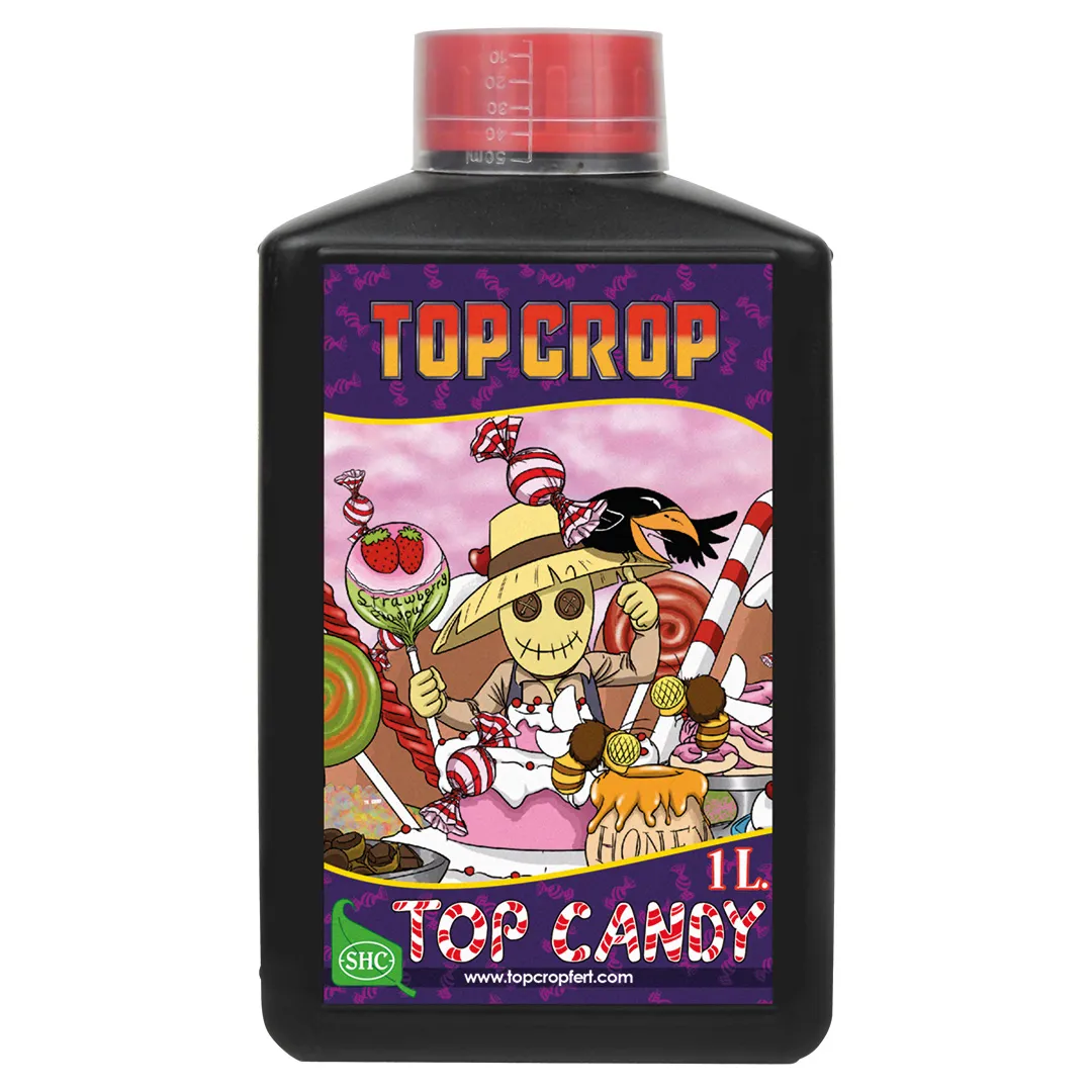 Top Candy Top Crop