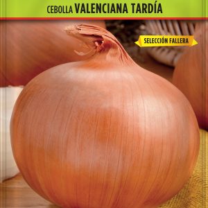 Cebolla Valenciana Tardía